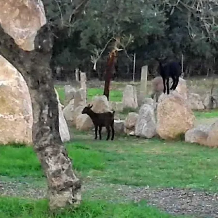 I Menhirs Hotel Annunziata (Sardinia)