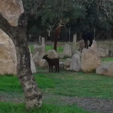 Hotel I Menhirs 3*